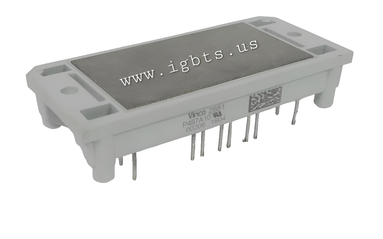 P487A10-VINCO