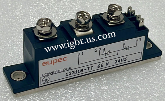 123118-TT66N-EUPEC
