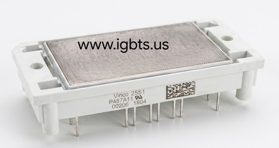 P487A11-VINCO
