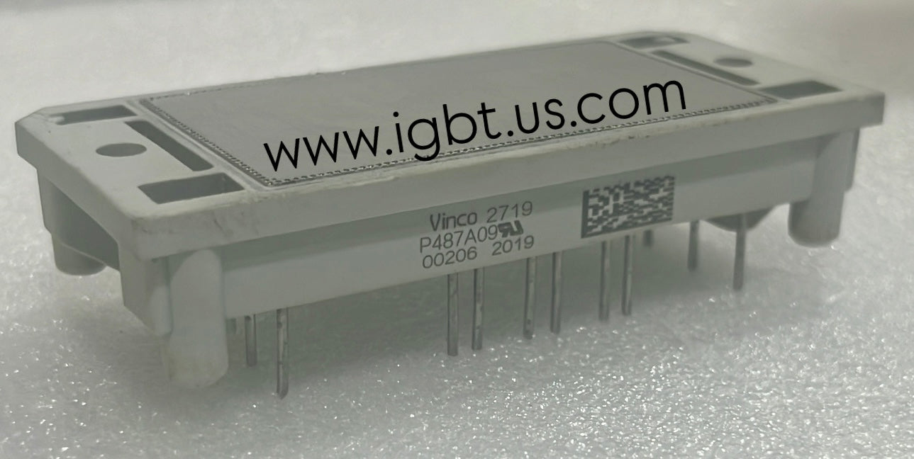 P487A09-VINCO